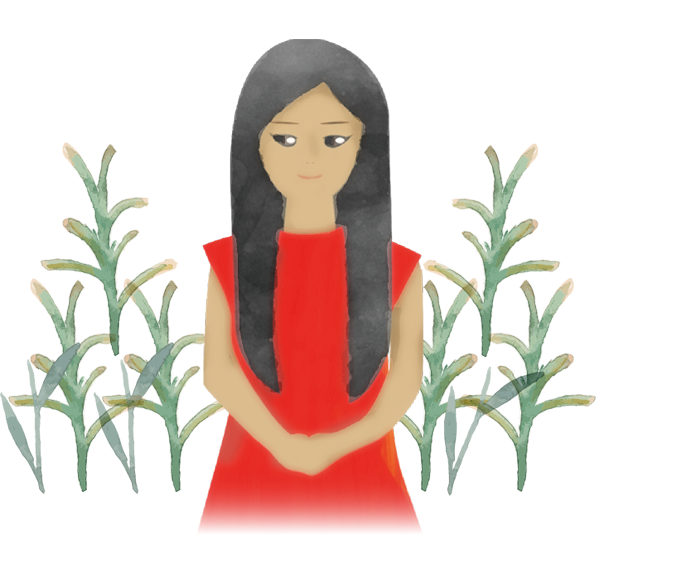 パッケージイラスト